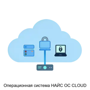 Купить Операционная система НАЙС ОС CLOUD - ARPP-30128 из реестра по лучшей цене