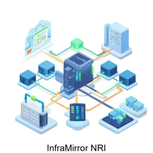 Купить InfraMirror NRI - ARPP-31165 из реестра по лучшей цене