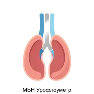 Купить МБН Урофлоуметр - ARPP-31137 из реестра по лучшей цене