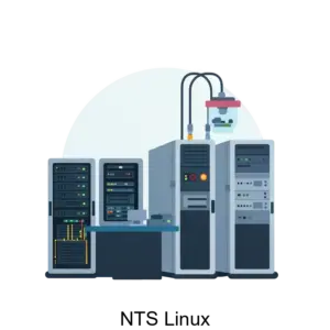 Купить NTS Linux - ARPP-27767 из реестра по лучшей цене