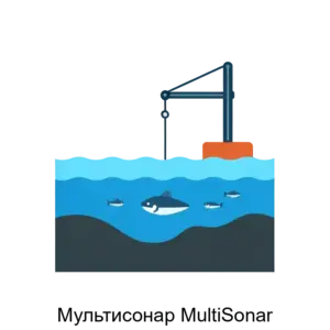Купить Мультисонар MultiSonar - ARPP-27660 из реестра по лучшей цене