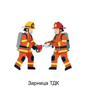 Купить Зарница ТДК - ARPP-29386 из реестра по лучшей цене