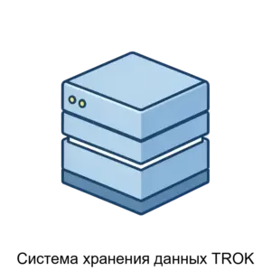 Купить Система хранения данных TROK - ARPP-29479 из реестра по лучшей цене