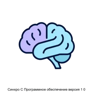 Купить Синхро С Программное обеспечение версия 1 0 - ARPP-29938 из реестра по лучшей цене