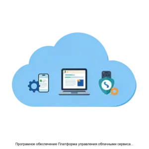 Купить Програмное обеспечение Платформа управления облачными сервисами услугами и хостингом SpaceWeb - ARPP-30259 из реестра по лучшей цене