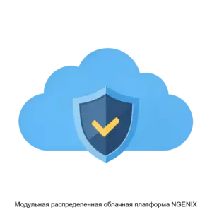 Купить Модульная распределенная облачная платформа NGENIX - ARPP-28815 из реестра по лучшей цене