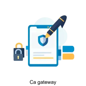 Купить Ca gateway - ARPP-29808 из реестра по лучшей цене