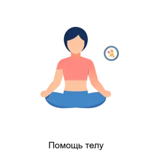 Купить Помощь телу - ARPP-28343 из реестра по лучшей цене