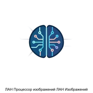 Купить ЛАН Процессор изображений ЛАН Изображений - ARPP-29051 из реестра по лучшей цене