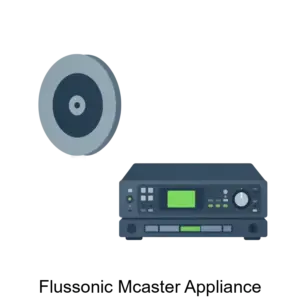 Купить Flussonic Mcaster Appliance - ARPP-29824 из реестра по лучшей цене