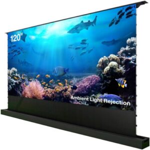 Купить Экран Cactus 148x263см FloorRising CS-PSFRALR-263X148 16:9 напольный рулонный черный (моторизованный привод) - 4D-15740462 из реестра по лучшей цене