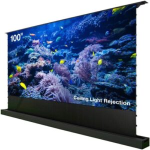 Купить Экран Cactus 125x221см FloorRising CS-PSFRCLR-221X125 16:9 напольный рулонный черный (моторизованный привод) - 4D-15746237 из реестра по лучшей цене