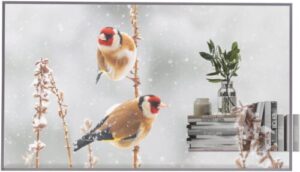 Купить Панель LG 55" 55EW5P-M серебристый OLED LED 1ms 16:9 HDMI матовая 1100:1 400cd 178гр/178гр 1920x1080 DP FHD USB 13.9кг - 4D-15740745 из реестра по лучшей цене