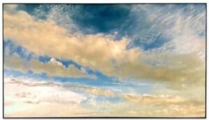 Купить Панель Ikar 55" ПВ 55-117-200 (1.8 мм) черный IPS LED 8ms 16:9 DVI HDMI M/M матовая 1200:1 700cd 178гр/178гр 3840x2160 VGA DP UHD USB 40кг (RUS) - 4D-15551215 из реестра по лучшей цене