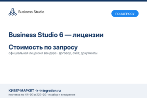 Купить Business Studio 6 — лицензии -  из реестра по лучшей цене