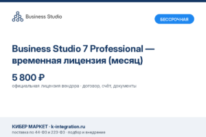 Купить Business Studio 7 Professional — временная лицензия (месяц) -  из реестра по лучшей цене