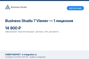Купить Business Studio 7 Viewer — 1 лицензия -  из реестра по лучшей цене