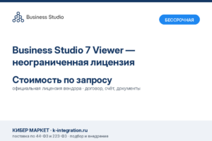 Купить Business Studio 7 Viewer — неограниченная лицензия -  из реестра по лучшей цене