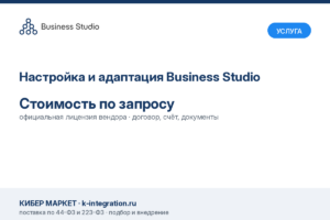 Купить Настройка и адаптация Business Studio -  из реестра по лучшей цене