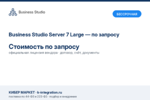 Купить Business Studio Server 7 Large — по запросу -  из реестра по лучшей цене