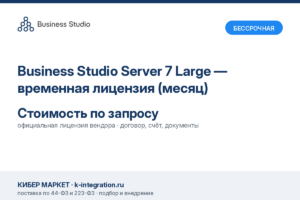 Купить Business Studio Server 7 Large — временная лицензия (месяц) -  из реестра по лучшей цене