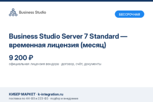 Купить Business Studio Server 7 Standard — временная лицензия (месяц) -  из реестра по лучшей цене