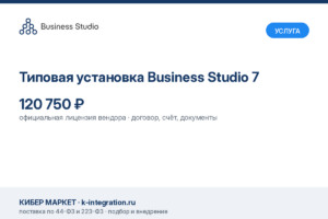 Купить Типовая установка Business Studio 7 -  из реестра по лучшей цене
